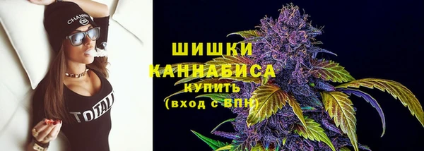 прущие грибы Медногорск