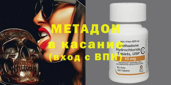 прущие грибы Медногорск