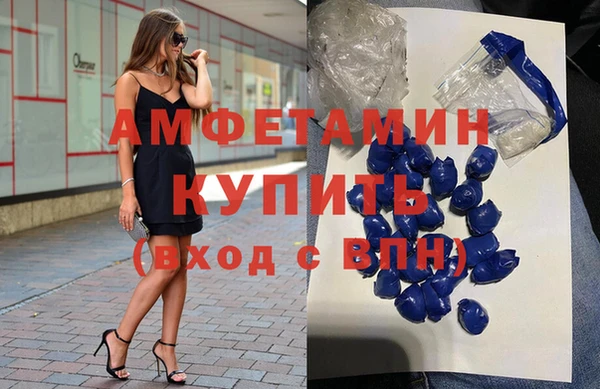 прущие грибы Медногорск
