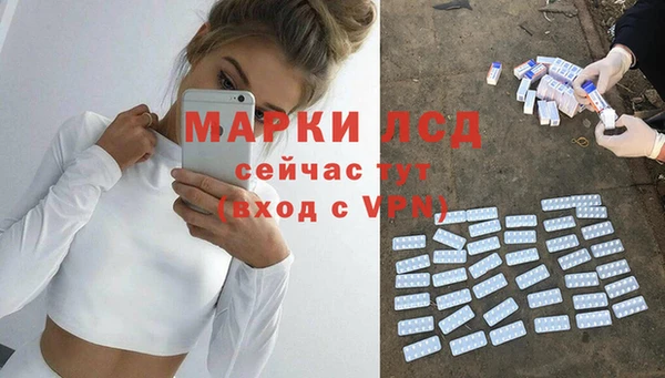 прущие грибы Медногорск