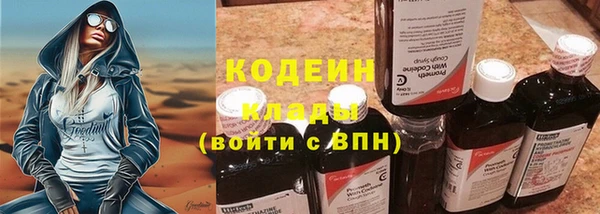 прущие грибы Медногорск