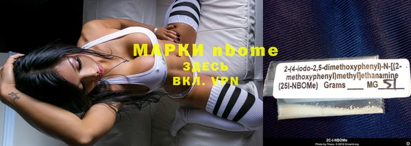 прущие грибы Медногорск